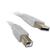 U/B CABLE USB A PLUG TO B PLUG 2M GREY