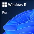 WINDOWS 11 PROFESSIONAL 64-BIT ENGLISH