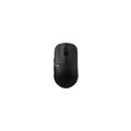 PULSAR X2H CRAZYLIGHT MEDIUM MOUSE BLACK