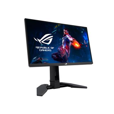 ASUS 24.1 TN MONITOR PG248QP