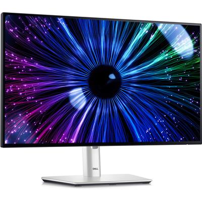 DELL 23.8 IPS MONITOR U2424HE
