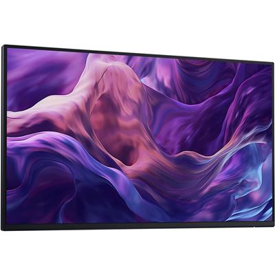 DELL 27 IPS MONITOR P2425HWO W/O STAND