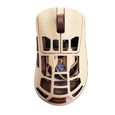 PULSAR FEINMANN F01 NOCTUA EDITION