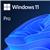 WINDOWS 11 PROFESSIONAL 64-BIT ENGLISH